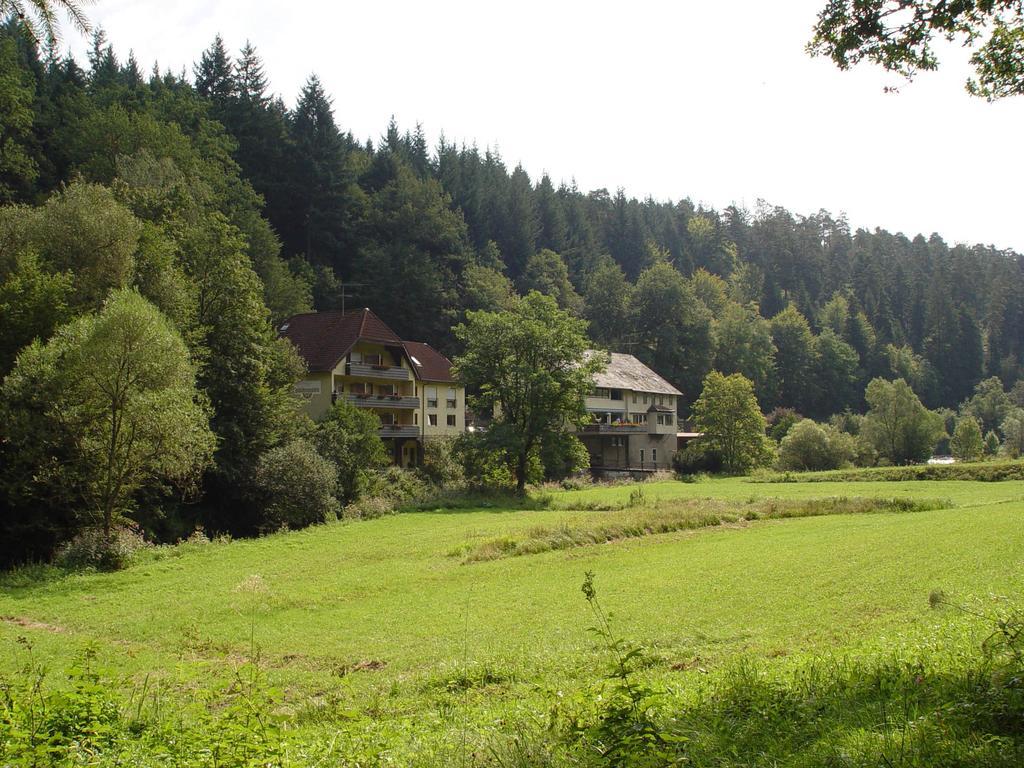 Business Class Hotel Haeckermuehle Tiefenbronn Екстериор снимка